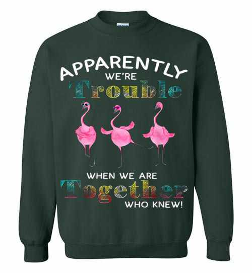 Inktee Store - Apparently Were Trouble When We Are Together Who Knew Sweatshirt Image