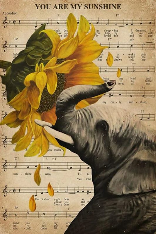 Music Sheet Sunflower My Sunshine Elephant Vertical Unframed / Wrapped Canvas Wall Decor Poster