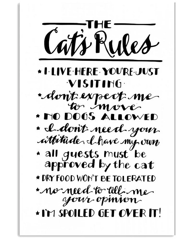 The Cat's Rules Simple White Unframed / Wrapped Canvas Wall Decor Poster