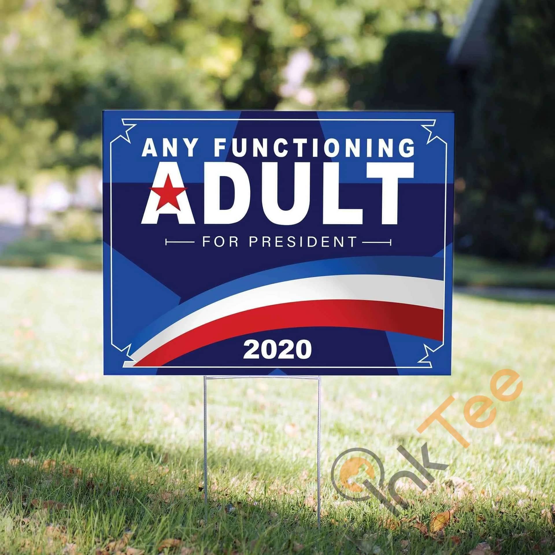 Any Functioning Adult For President Yard Sign