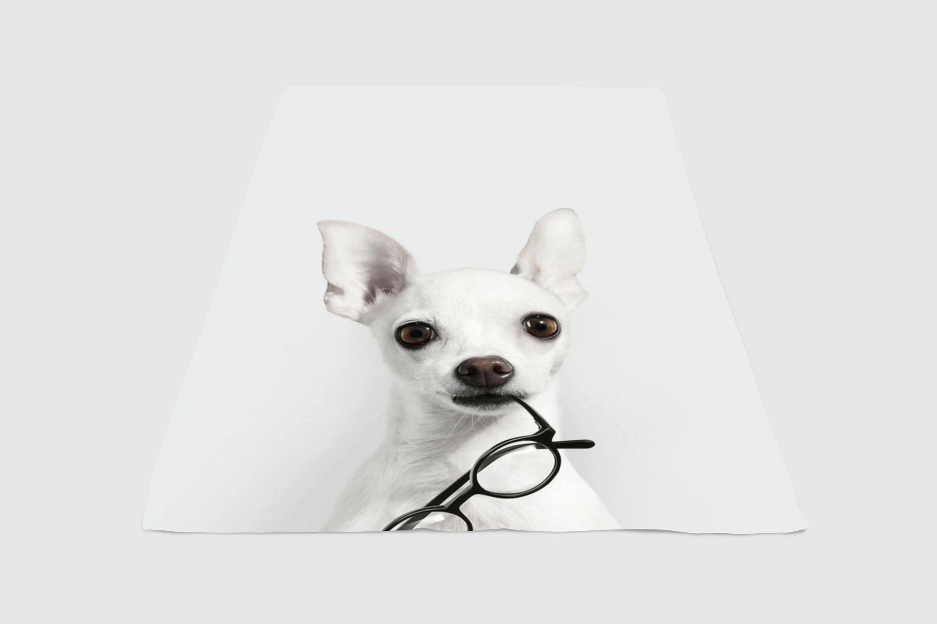 Glasses Dog Fleece Blanket