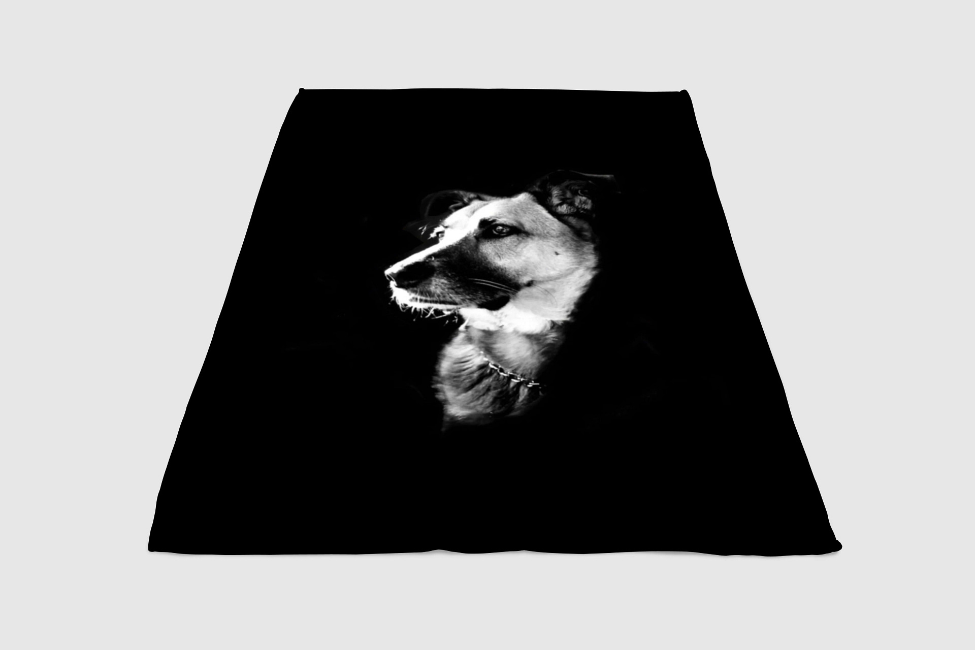 Low Light Dog Monochrome Fleece Blanket