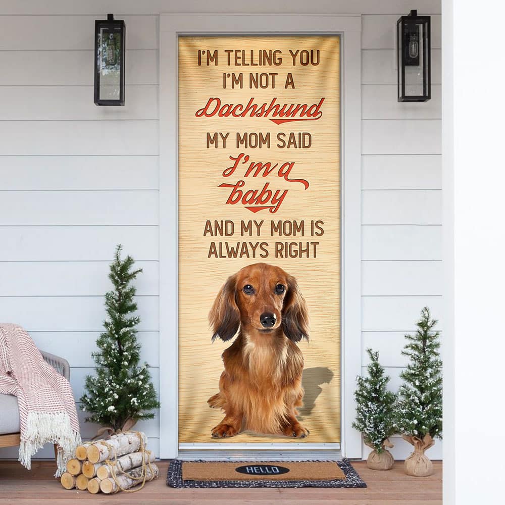 My Mom Said I�m A Baby Dachshund Door Cover