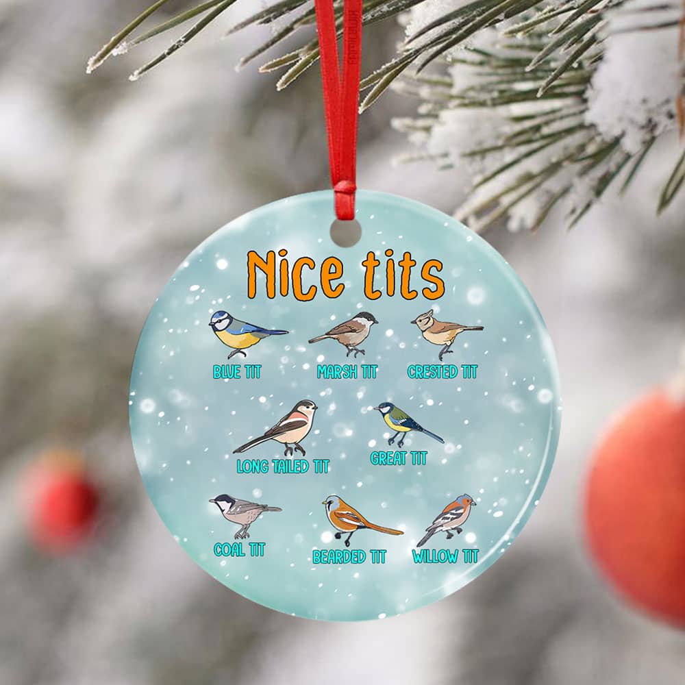 Nice Tits Watching Small Birding Christmas Ceramic Circle Ornament Personalized Gifts
