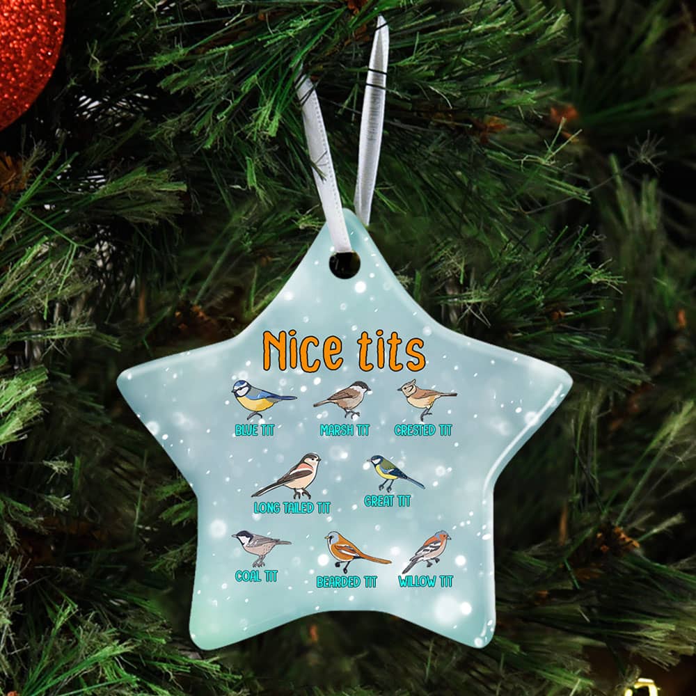 Nice Tits Watching Small Birding Christmas Ceramic Heart Ornament Personalized Gifts