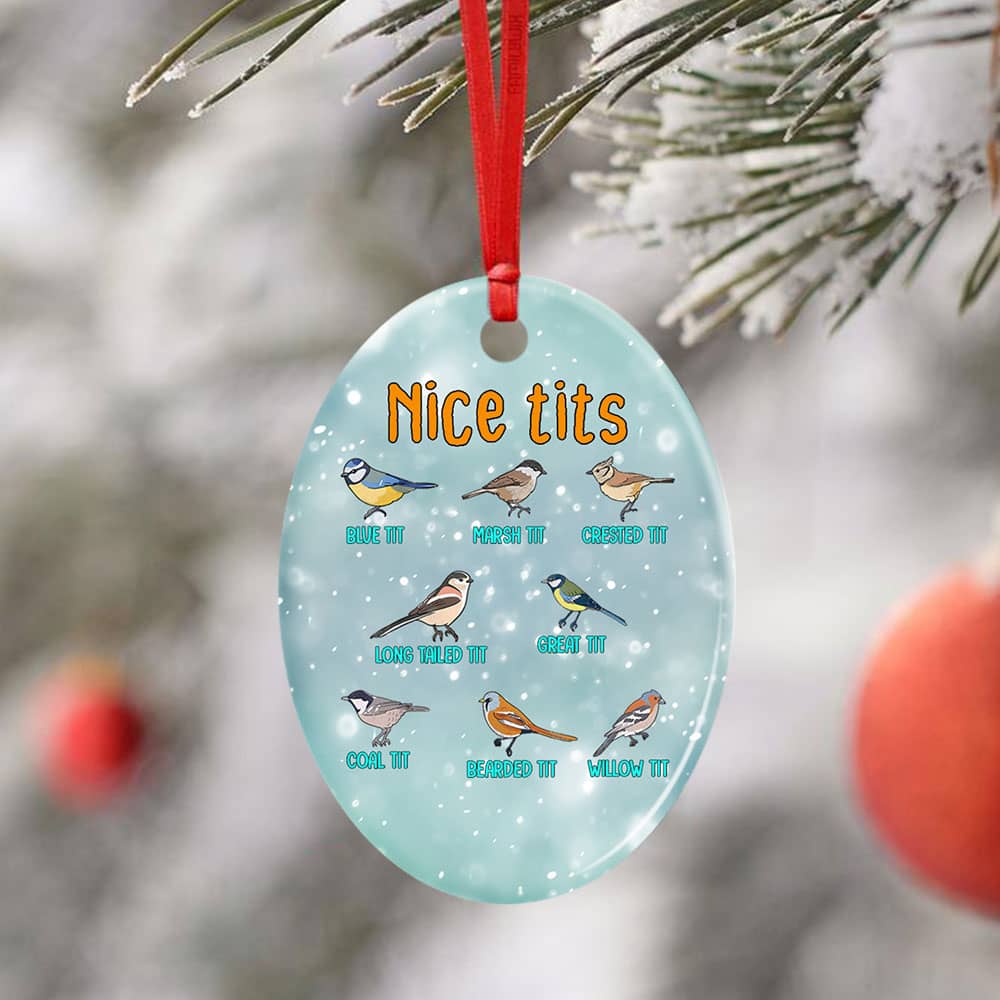 Nice Tits Watching Small Birding Christmas Ceramic Star Ornament Personalized Gifts