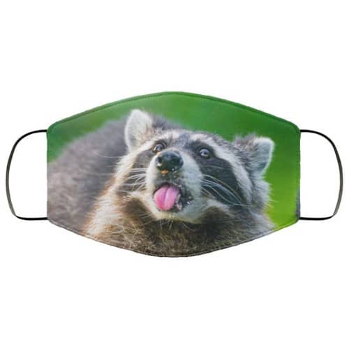 Raccoon Animals Washable No4192 Face Mask