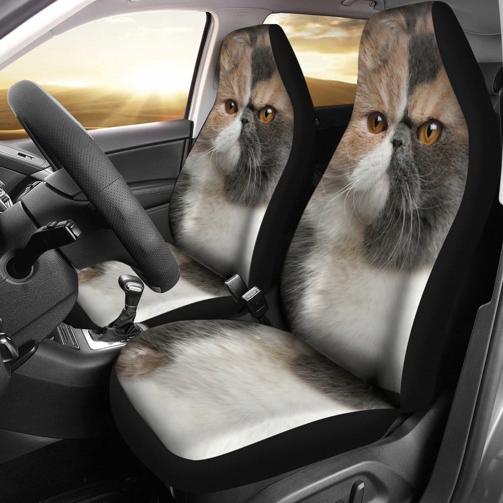 Exotic Cat For Fan Gift Sku 2196 Car Seat Covers