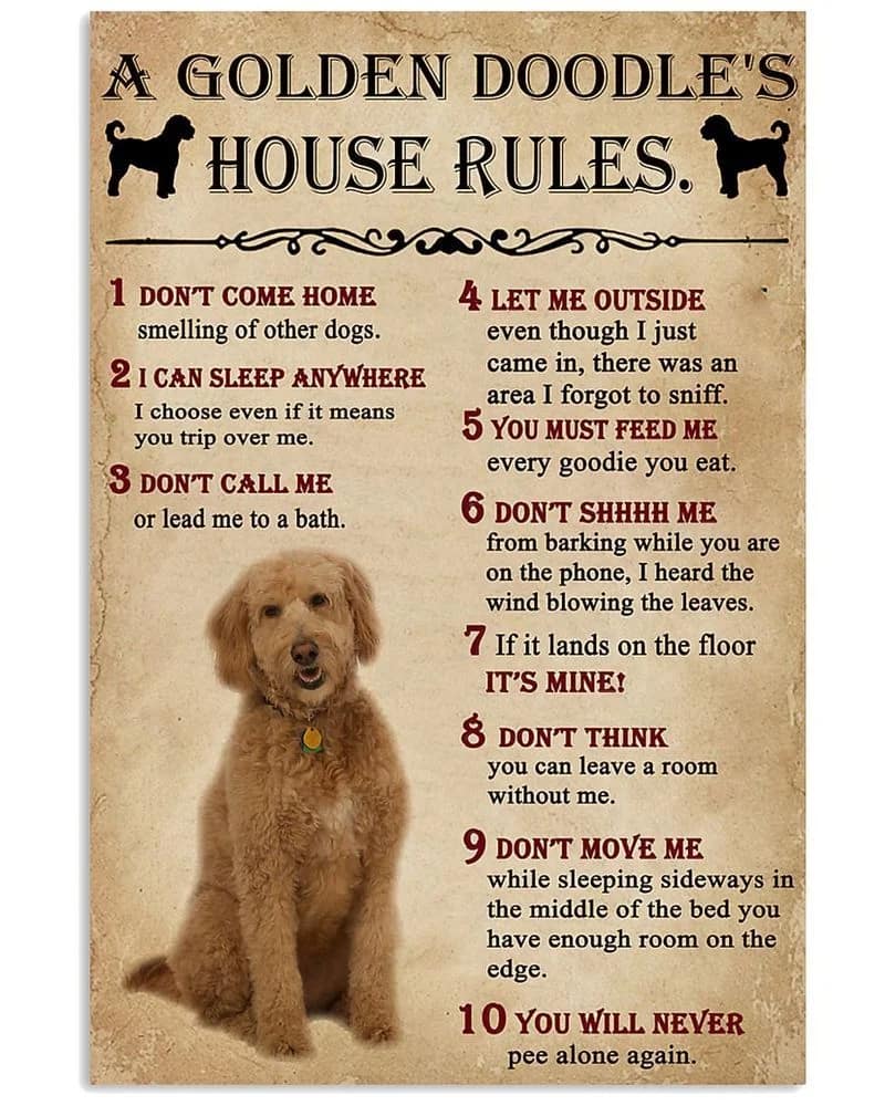 A Golden Doodle House Rules Unframed , Wrapped Frame Canvas Wall Decor, Dog , Animal Poster