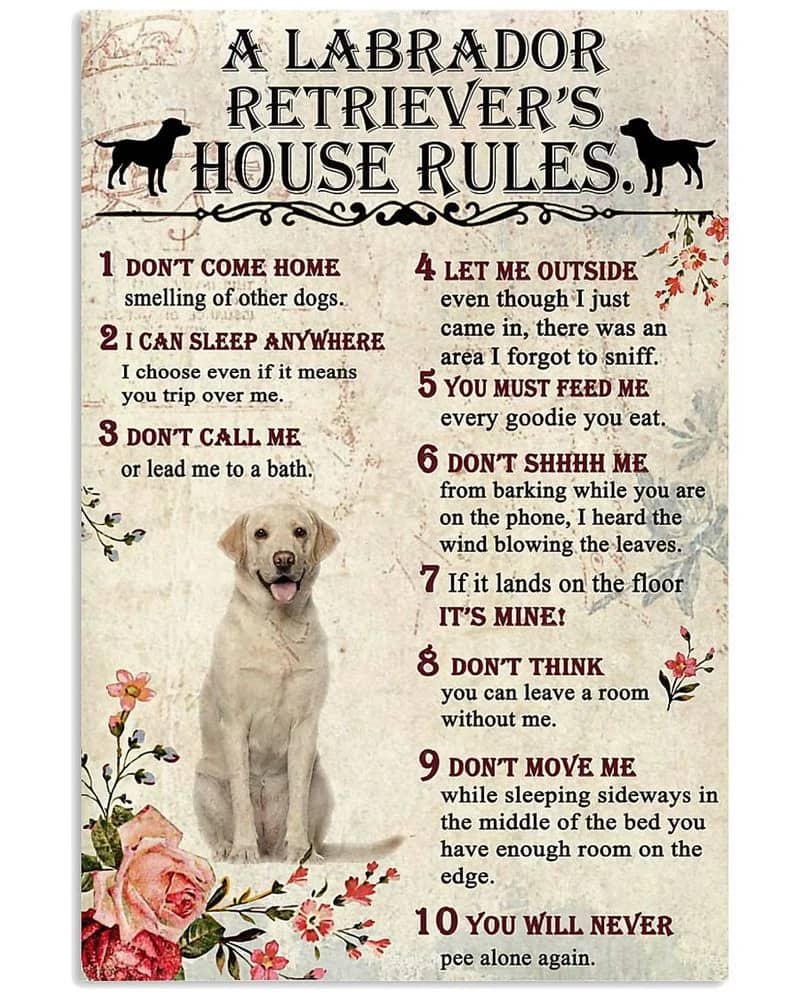 A Labrador Retriever'S House Rules Unframed , Wrapped Frame Canvas Wall Decor, Dog , Animal Poster