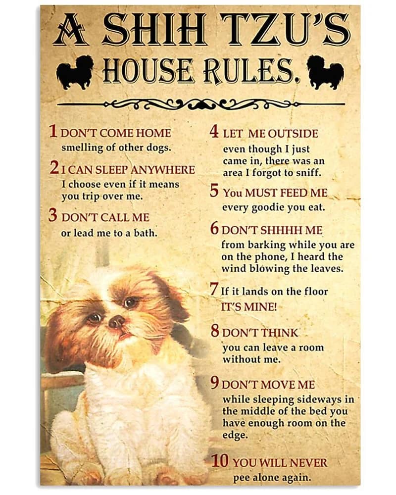A Shih Tzu'S House Rules Unframed / Wrapped Canvas Wall Decor Poster