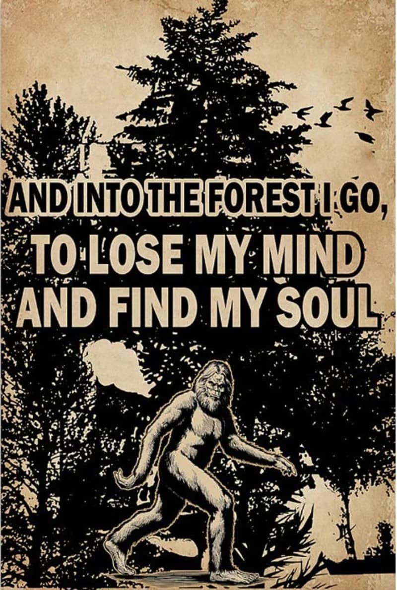 And In To The Forest I Go Bigfoot Vertical Unframed / Wrapped Canvas Wall Decor Poster