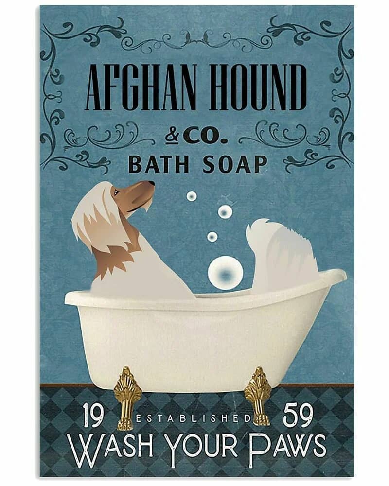 Bath Soap Company Afghan Hound  Art Print Decor For Your Home Poster