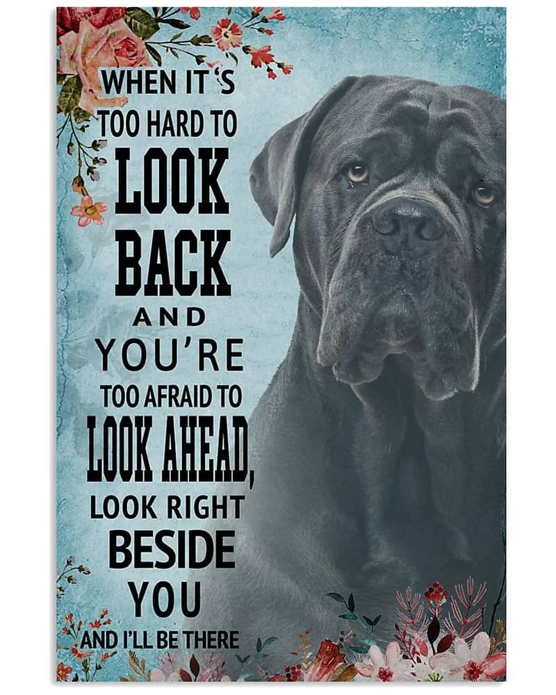 Classic Blue Cane Corso Look Right Beside You Unframed / Wrapped Canvas Wall Decor Poster
