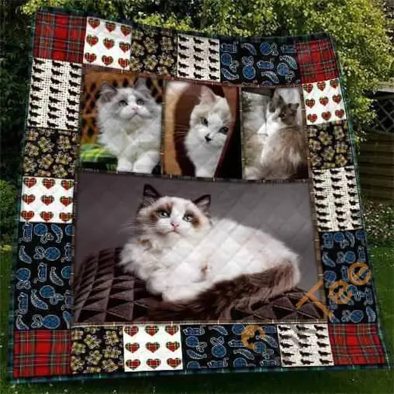 Cute Ragdoll Cat Pet Lover 3D  Blanket Th0607 Quilt
