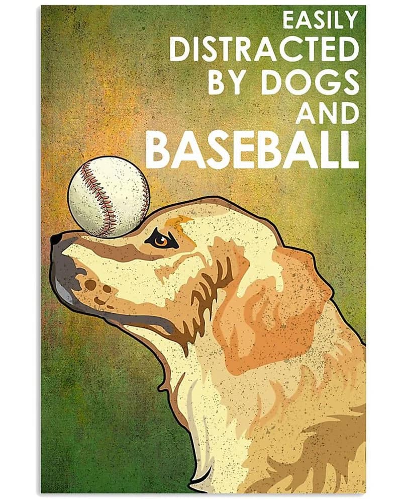 Easily Distracted Baseball Golden Retriever Unframed / Wrapped Canvas Wall Decor Poster
