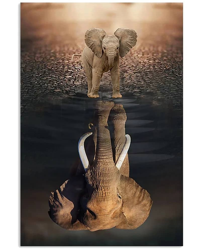 Elephant Believe In Yourself Unframed / Wrapped Canvas Wall Decor Poster