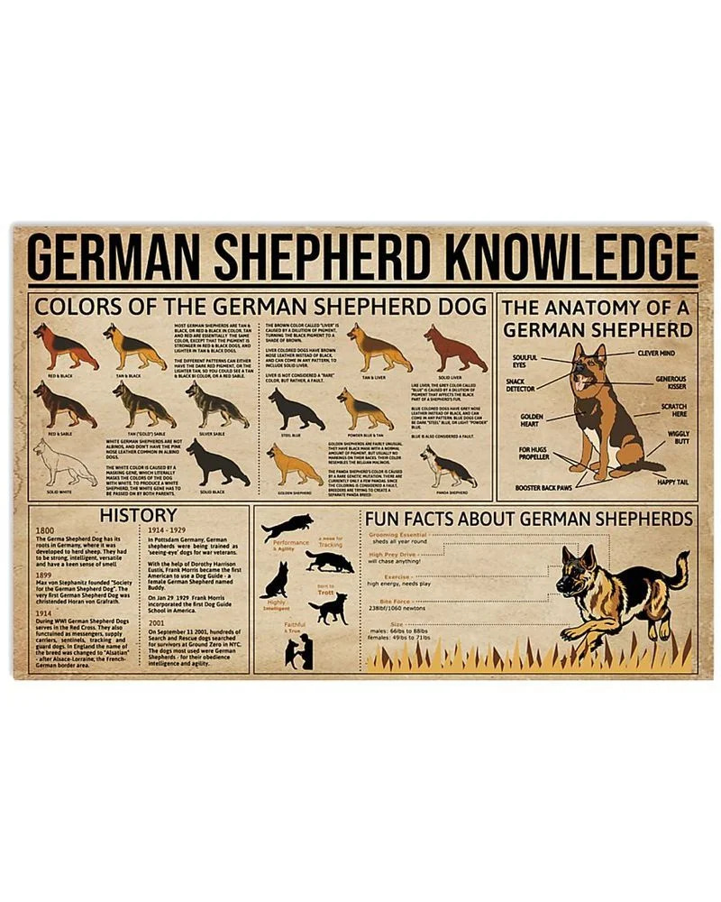 German Shepherd Knowledge Unframed , Wrapped Frame Canvas Wall Decor, Dog , Animal Poster