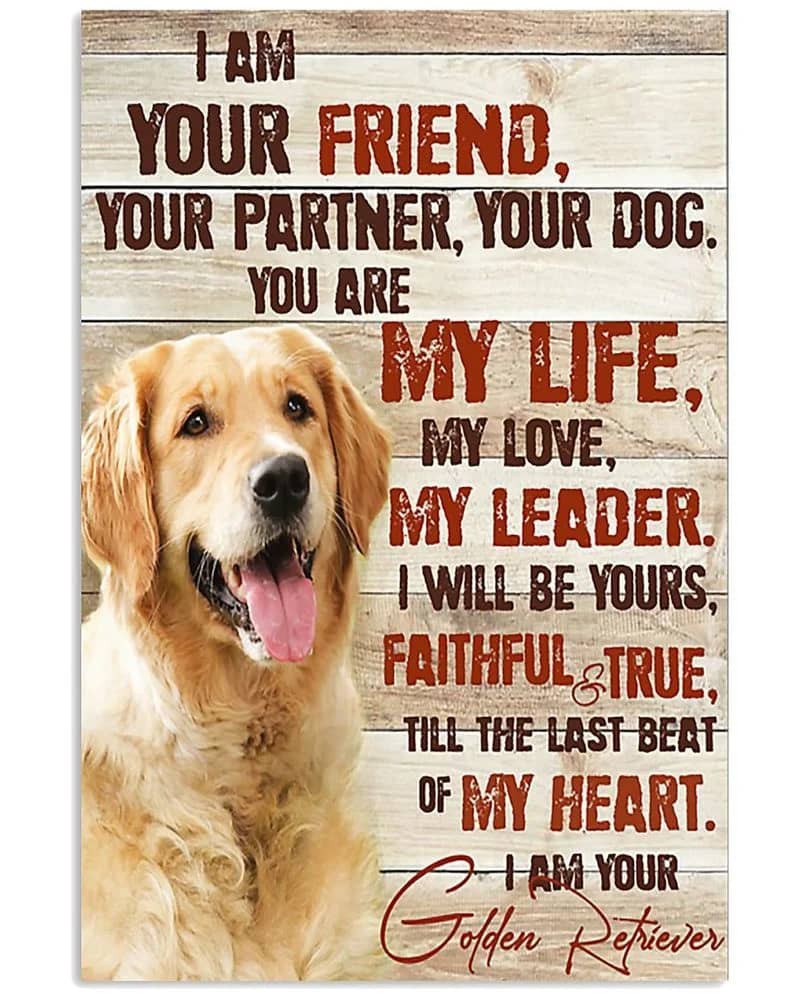 Golden Retriever I Am Your Friend Unframed , Wrapped Frame Canvas Wall Decor, Dog , Animal Poster