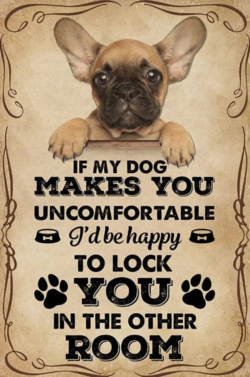 If My Dog Makes You Uncomfortable French Bulldog Vertical Unframed / Wrapped Canvas Wall Decor Poster