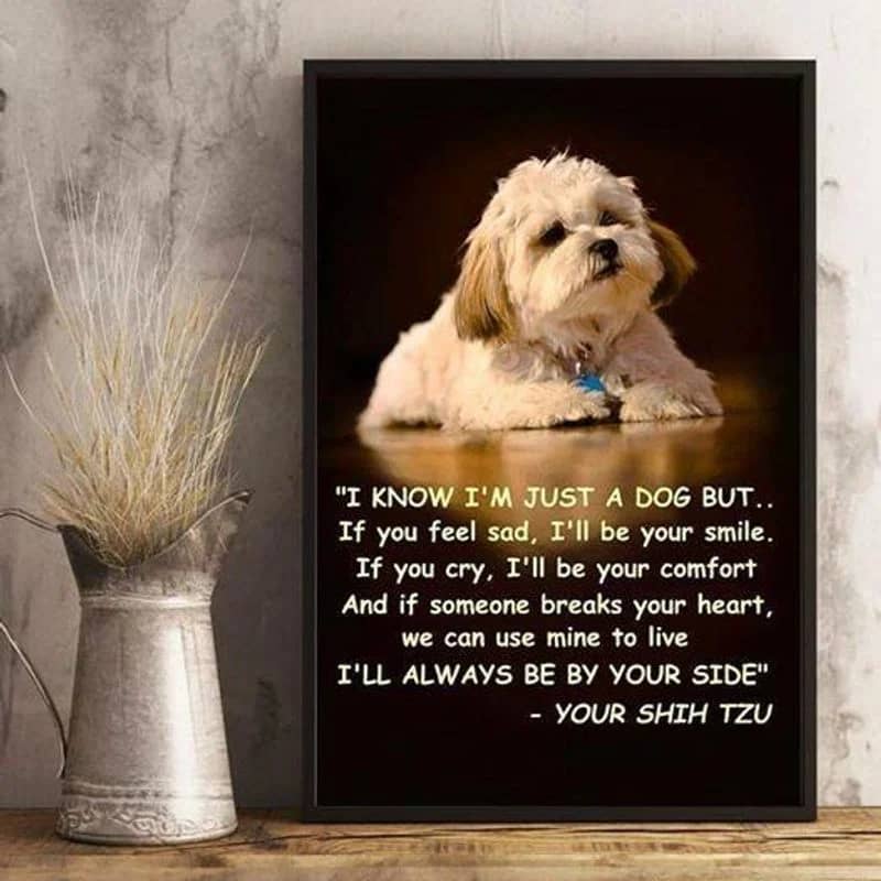 Im Just A Dog But Ill Always Be By Your Side Shih Tzu  Canvas  Canvas Unframed , Wrapped Frame Canvas Wall Decor - Frame Not Include Poster