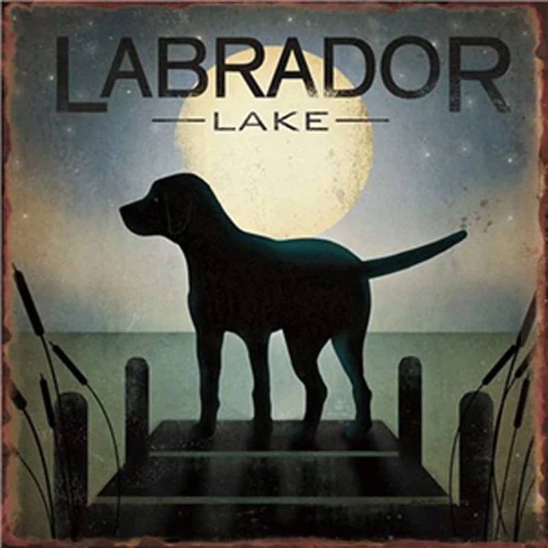 Labrador Dog Vintage Unframed , Wrapped Frame Canvas Wall Decor Poster