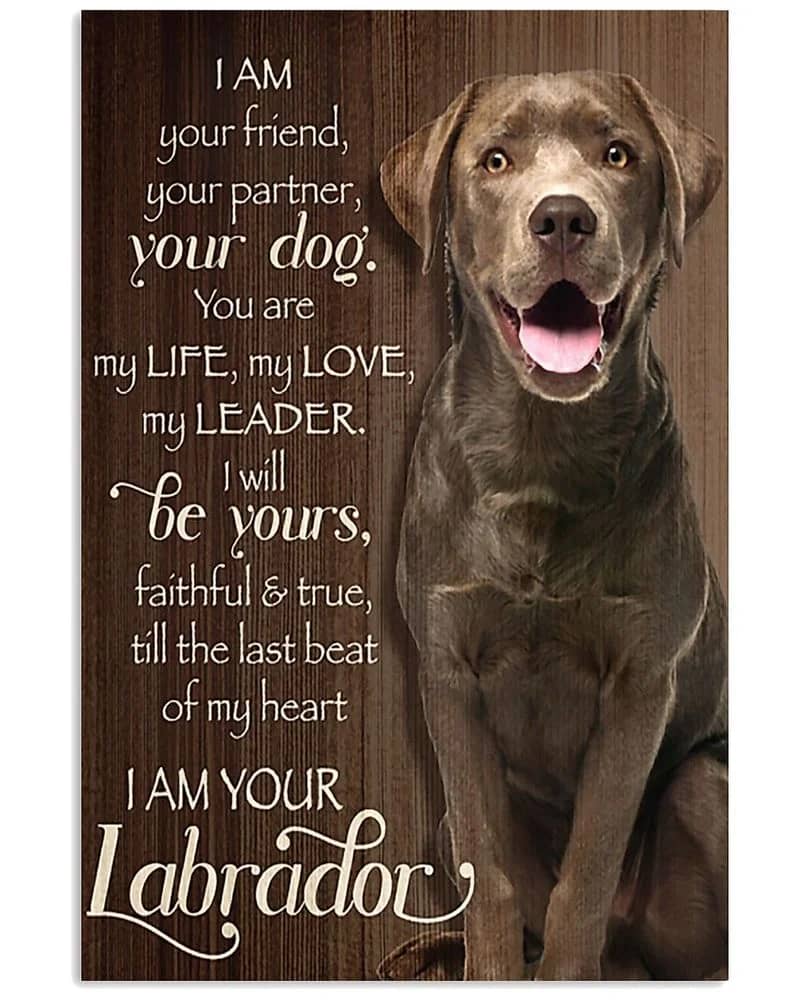 Labrador I Am Your Friend Unframed , Wrapped Frame Canvas Wall Decor, Dog , Animal Poster