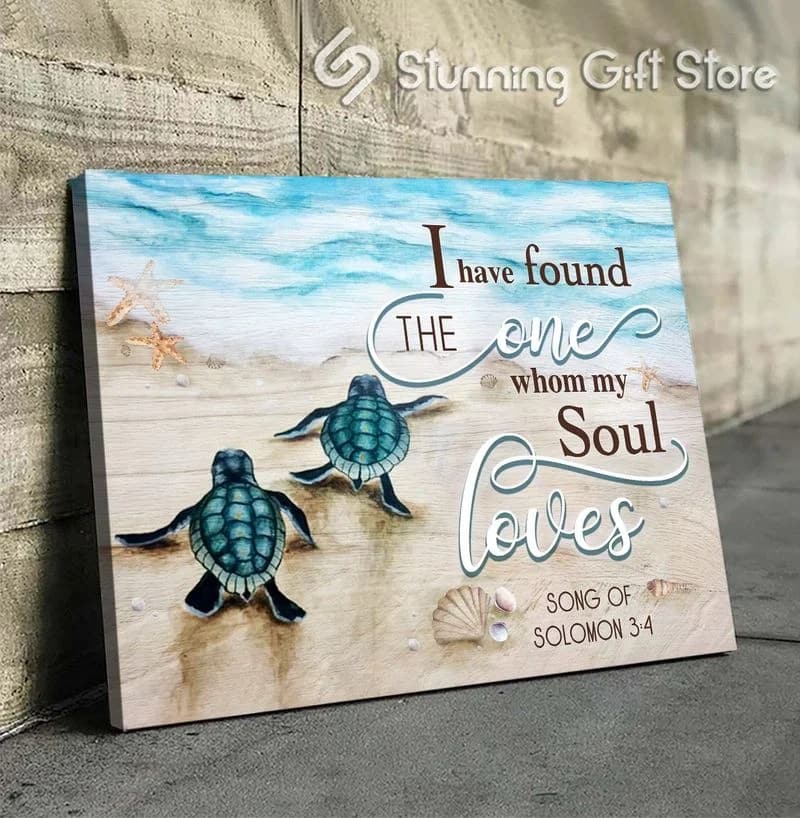 Sea Turtle I Have Found The One Whom My Soul Loves Unframed / Wrapped Canvas Wall Decor Poster