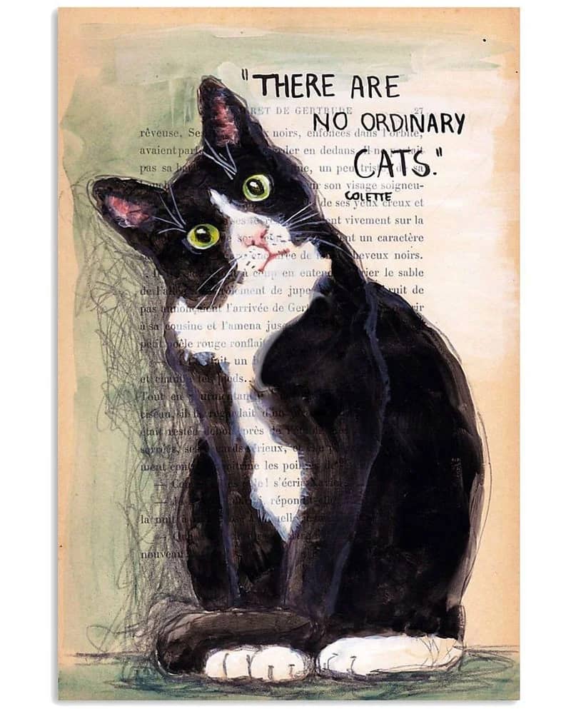 There Are No Ordinary Cats Unframed , Wrapped Canvas Wall Decor - Frame Not Include Poster