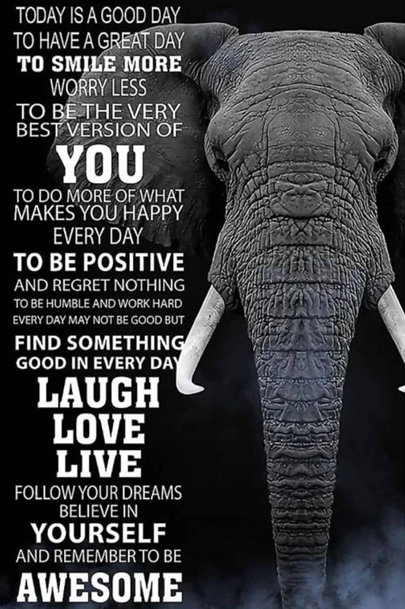 Today Is A Good Day To Have A Great Day Elephant Vertical Unframed / Wrapped Canvas Wall Decor Poster