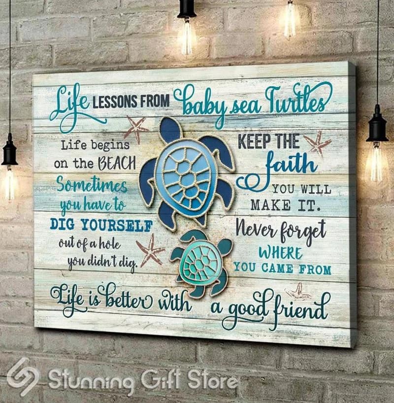 Turtle Baby Turtle Life Lessons From Baby Sea Turtle Unframed / Wrapped Canvas Wall Decor Poster