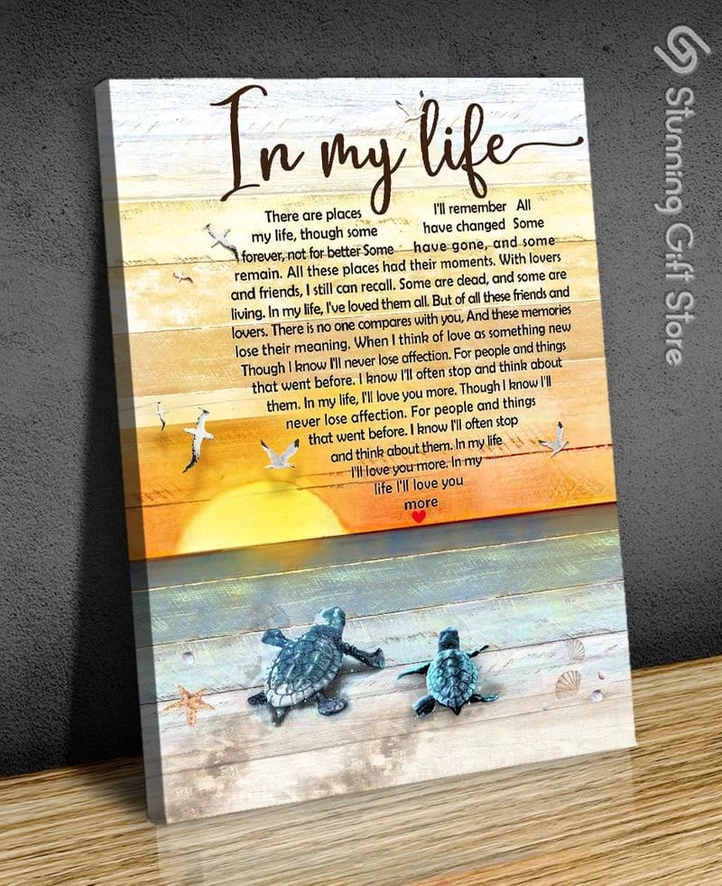 Turtle In My Life Summer Beach Sunset Unframed / Wrapped Canvas Wall Decor Poster