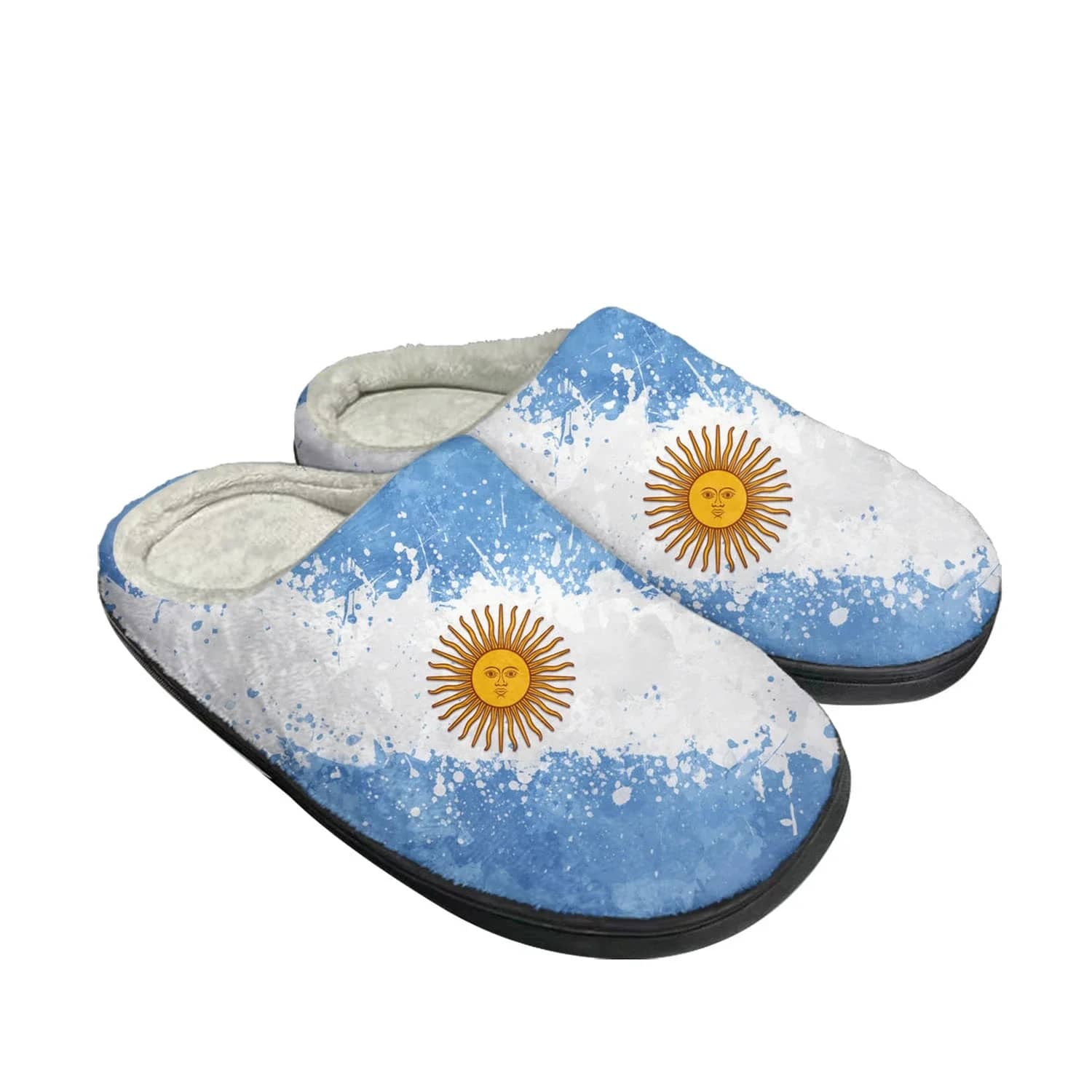 Argentine Flag Custom Shoes Slippers