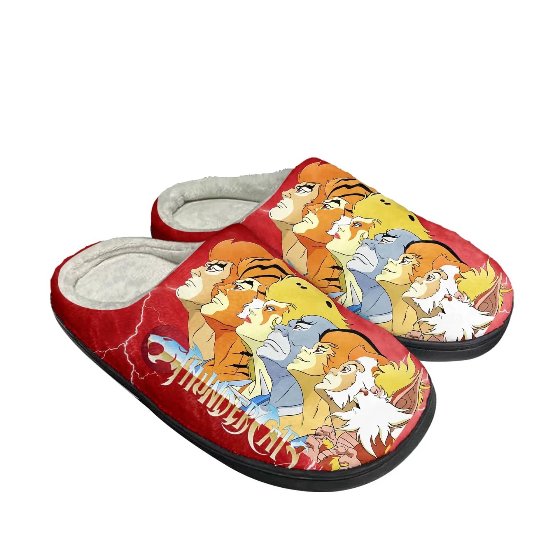 Thundercats Fashion Custom Shoes Slippers