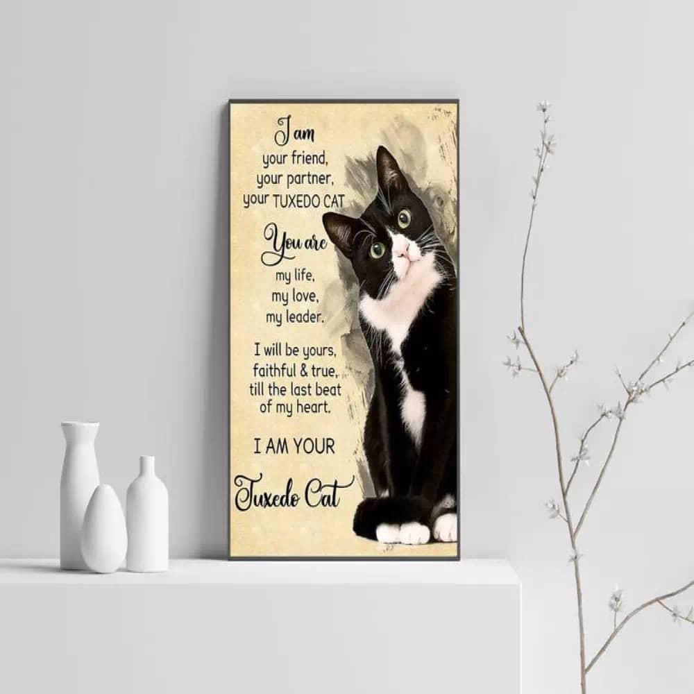 I Am Your Friend Partner Cat Canvas Art Funny Lover Gift Kitty Print Hanging Poster