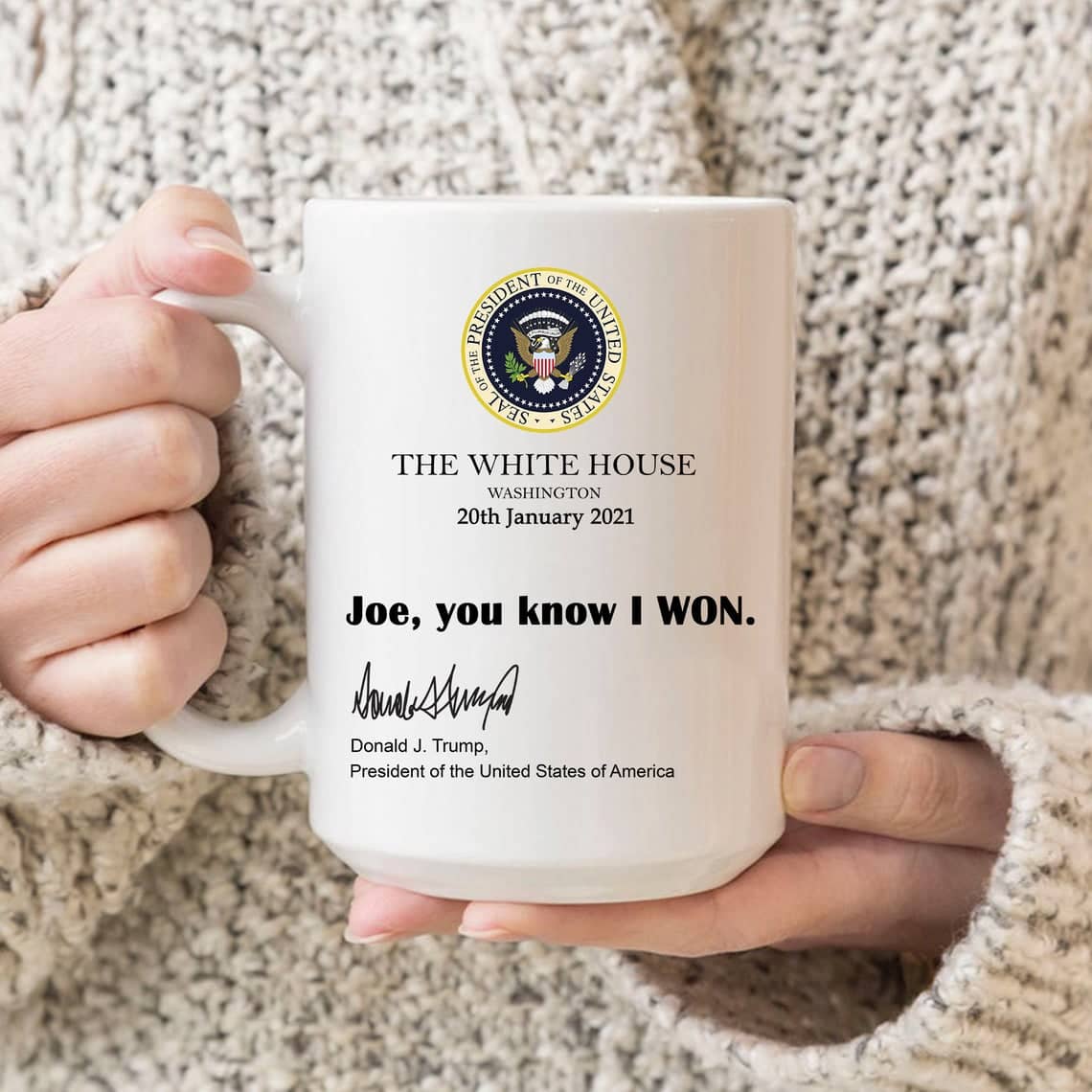 Joe, You Know I Won The White House Washington 20Th January 2021 Mug