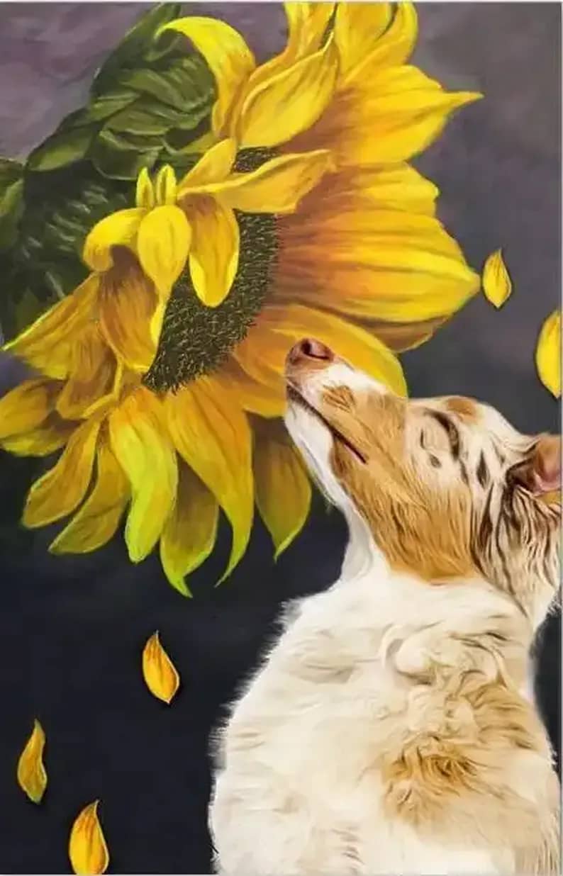 Australian Shepherd Sunflower Poster