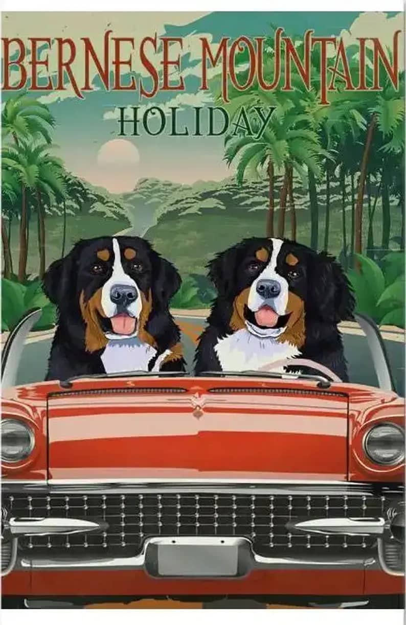 Bernese Mountain Holiday Poster