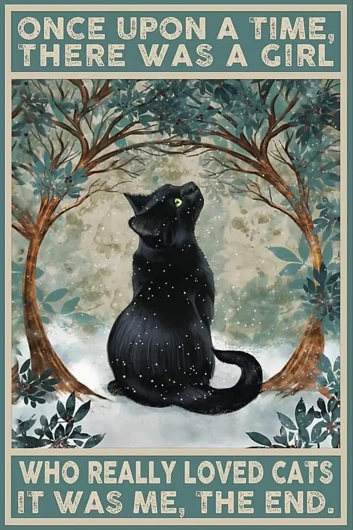 Black Cat Once Upon A Time There Was Girl Who Really Loved Cats It Me Lover Poster