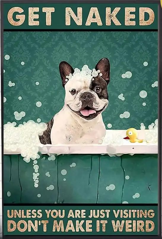 Boston Terrier Get Naked Don'T Make It Weird Poster