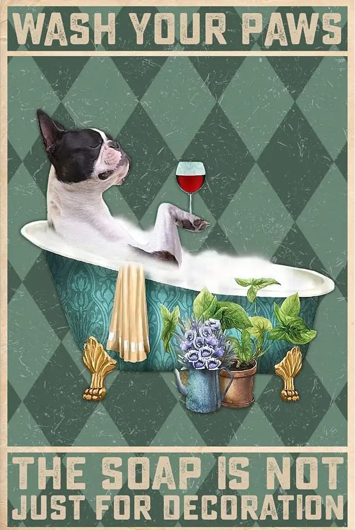 Boston Terrier Wash Your Paws The Soap Is Not Just For Decoration Poster