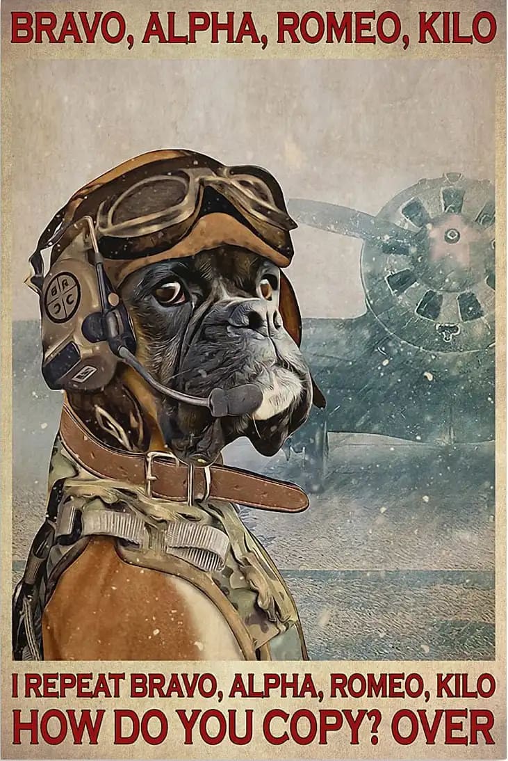 Bravo Alpha Romeo Kilo I Repeat How Do You Copy Over Dog Pilot Poster