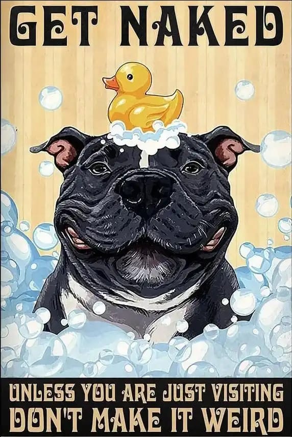 Buldog And Duck Get Naked Don'T Make It Weird Dog Poster