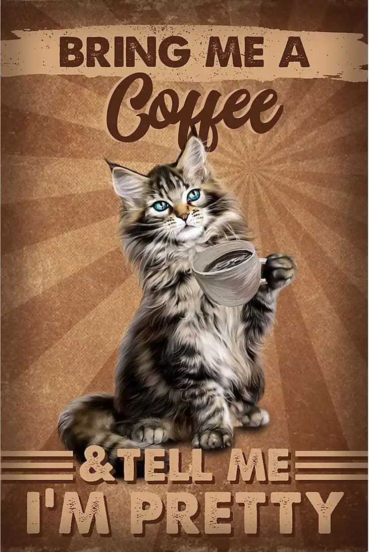 Cat Maine Coon Pretty Bring Me A Coffee Poster