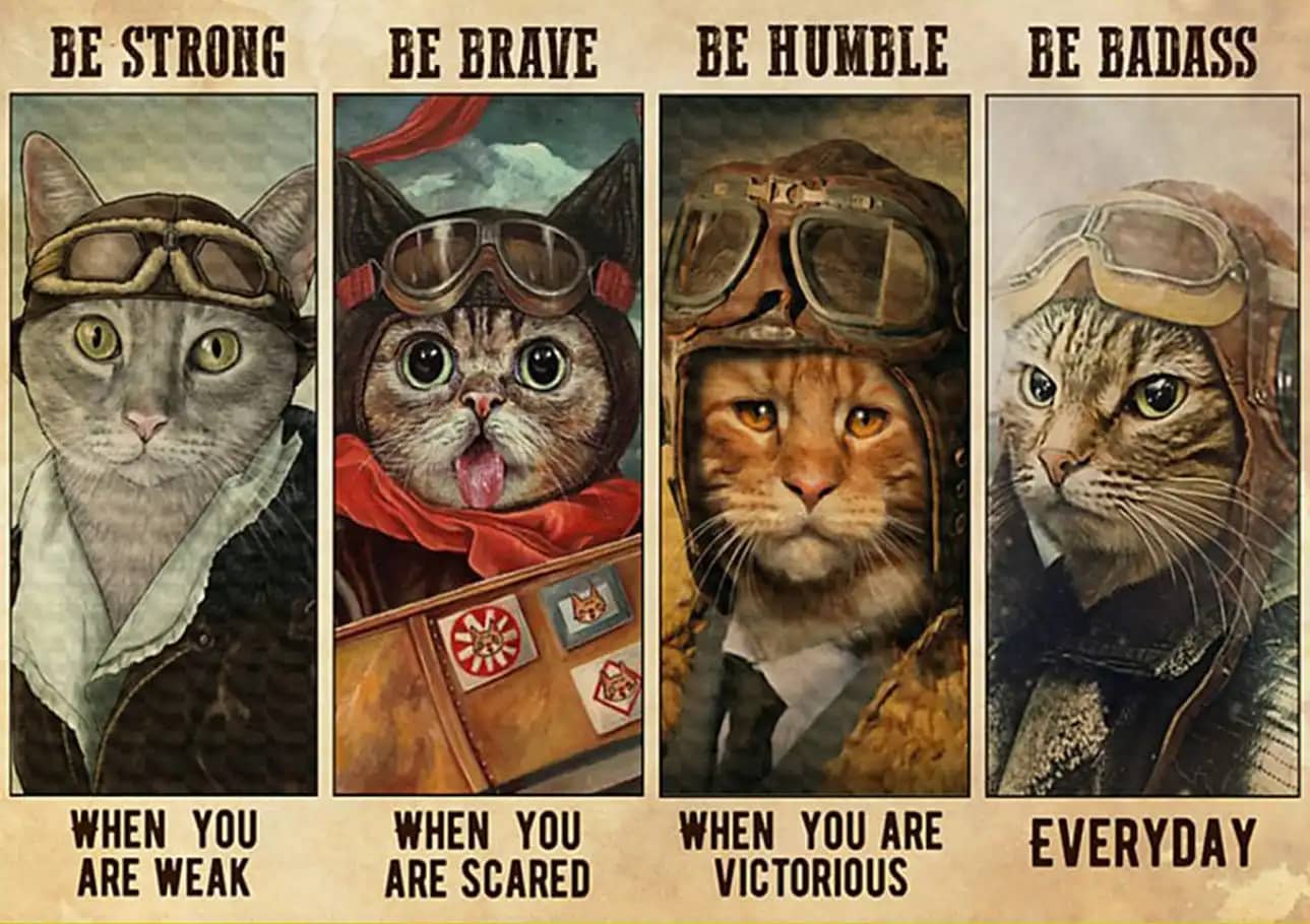 Cat Pilot Be Strong When You Are Weak Brave Scared Humble Victorious Badass Everyday Poster
