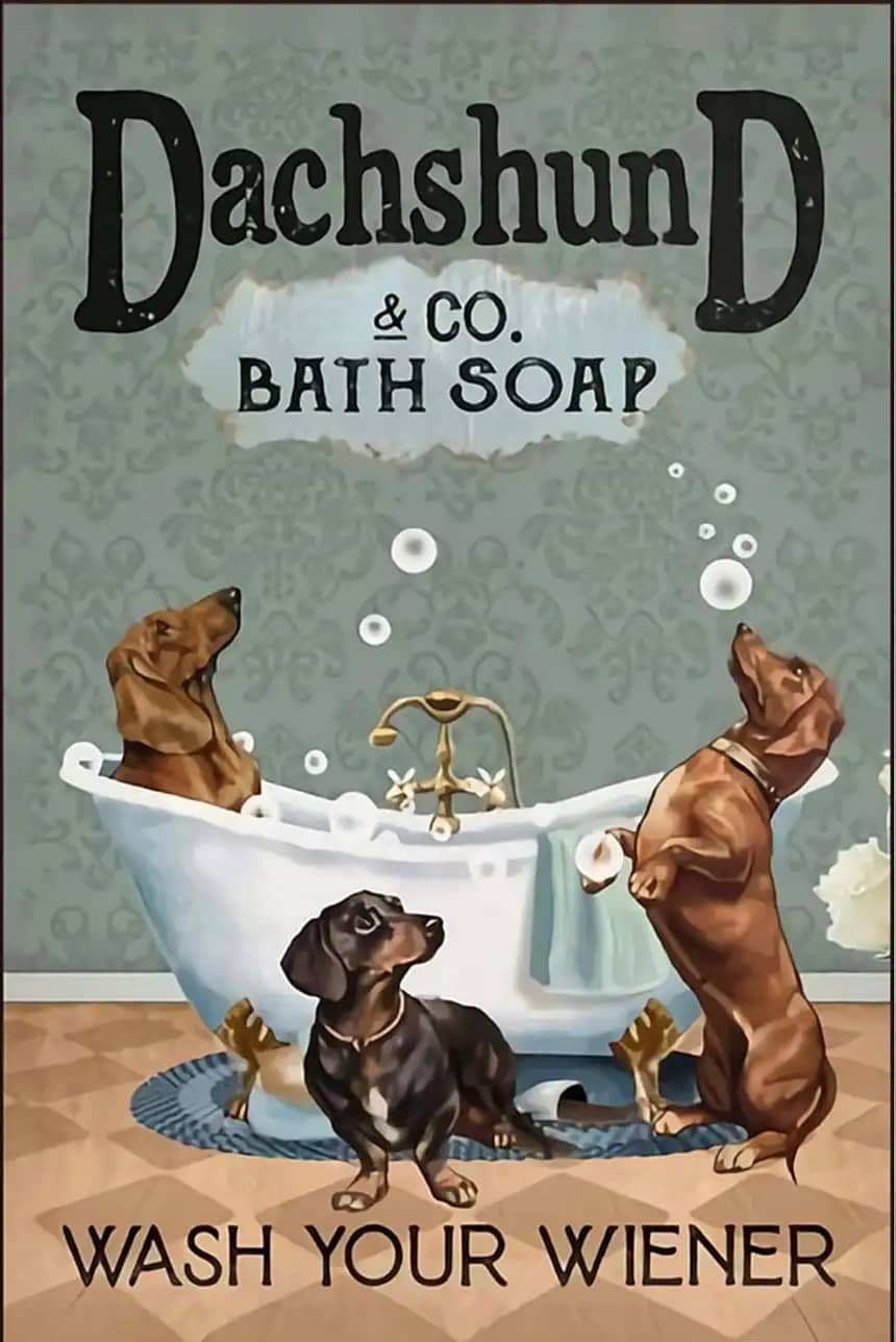 Dachshund Dog In Bath Soap And Co. Wash Your Wiener Poster