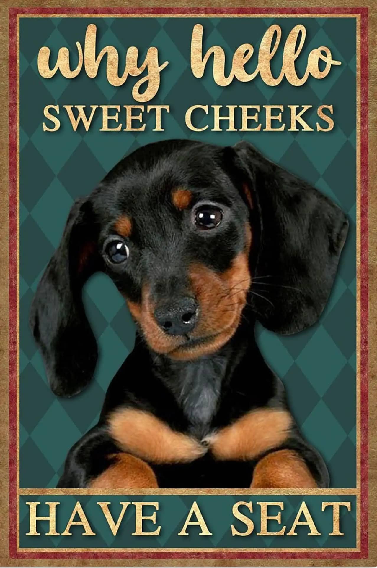 Dachshund Why Hello Sweet Cheeks Have A Seat Poster