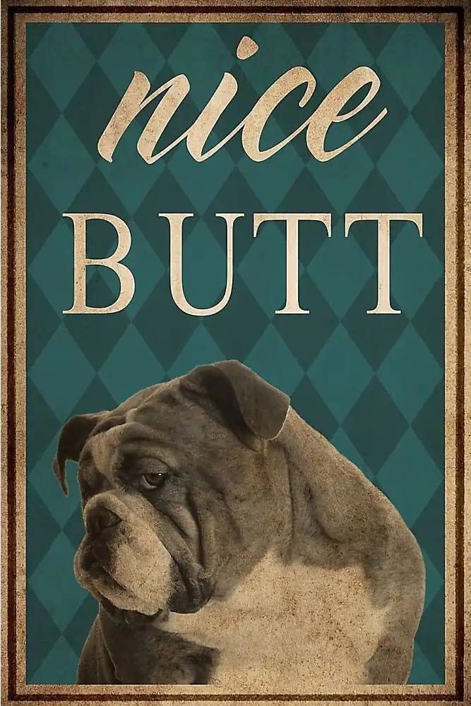 Dog Bull Nice Butt Poster