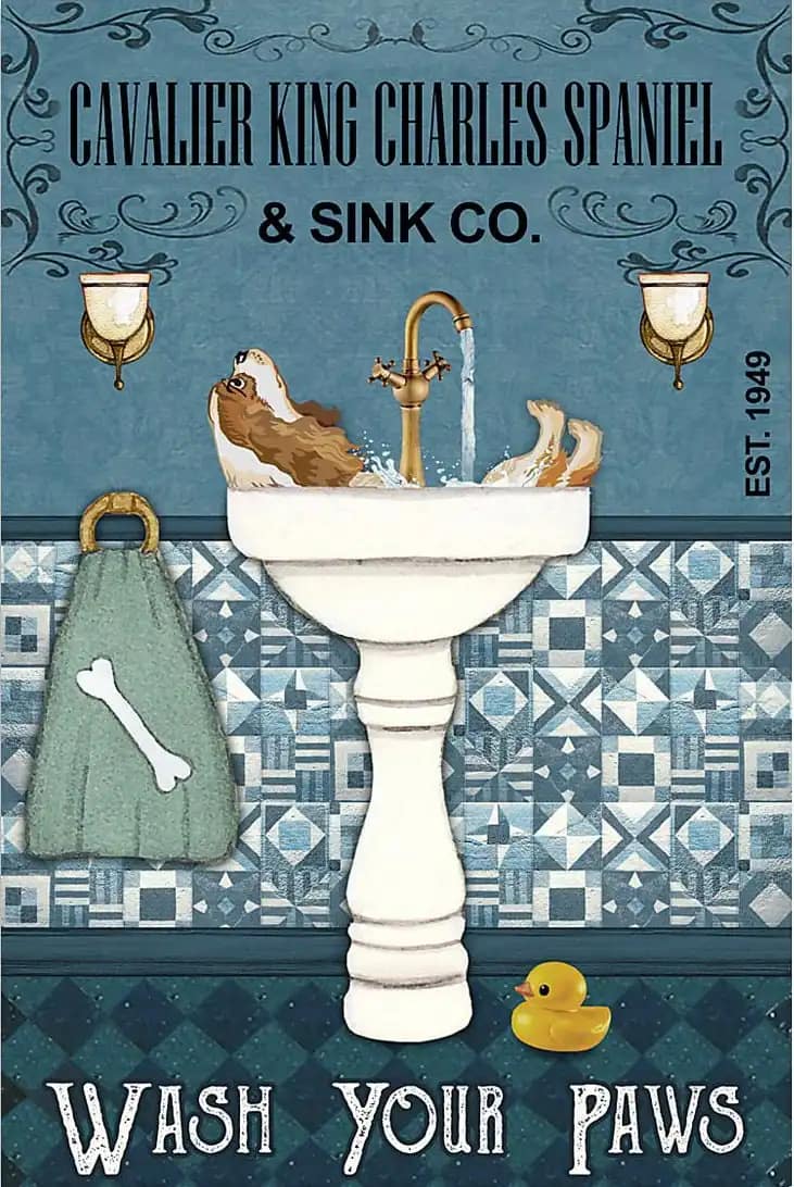 Dog Cavalier King Charles Spaniel And Sink Co Wash Your Paws Poster