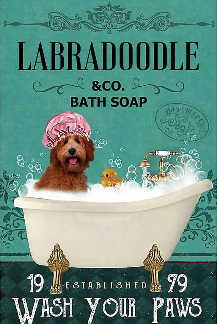 Dog Labradoodle Bath Soap Wash Your Paws Poster